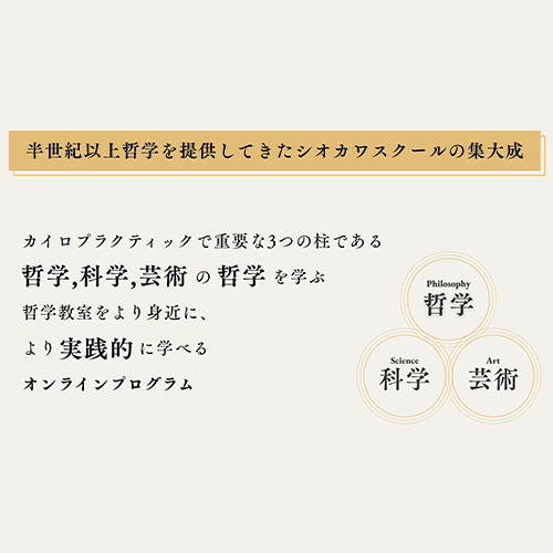 サロン内容