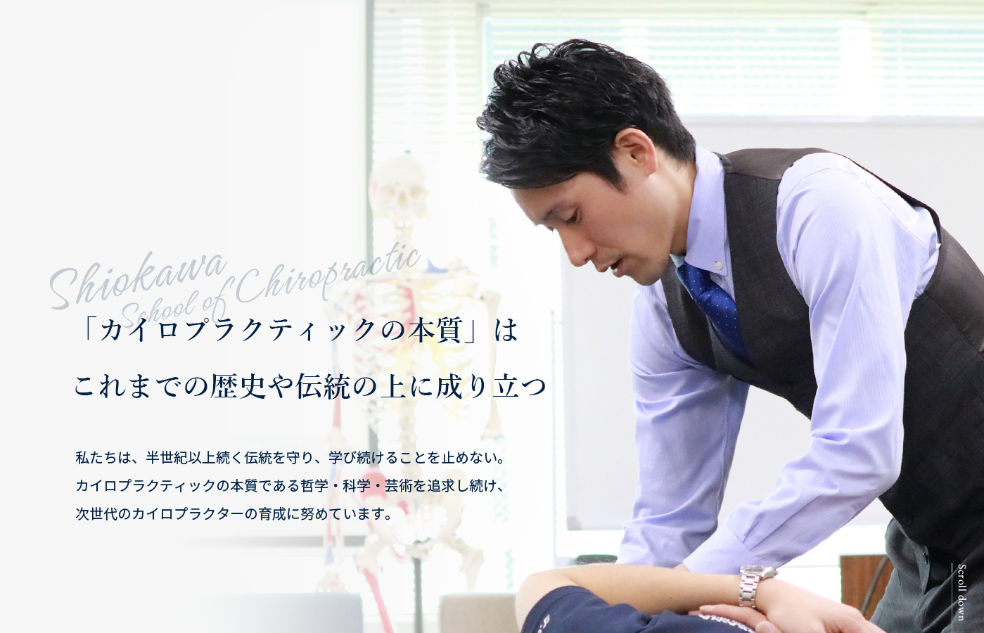 Shiokawa School of Chiropractic | シオカワスクール オブ カイロ 